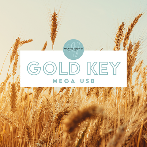 Gold Key Mega USB